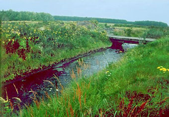 Potok Goławiecki